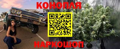 прущая мука Гусев