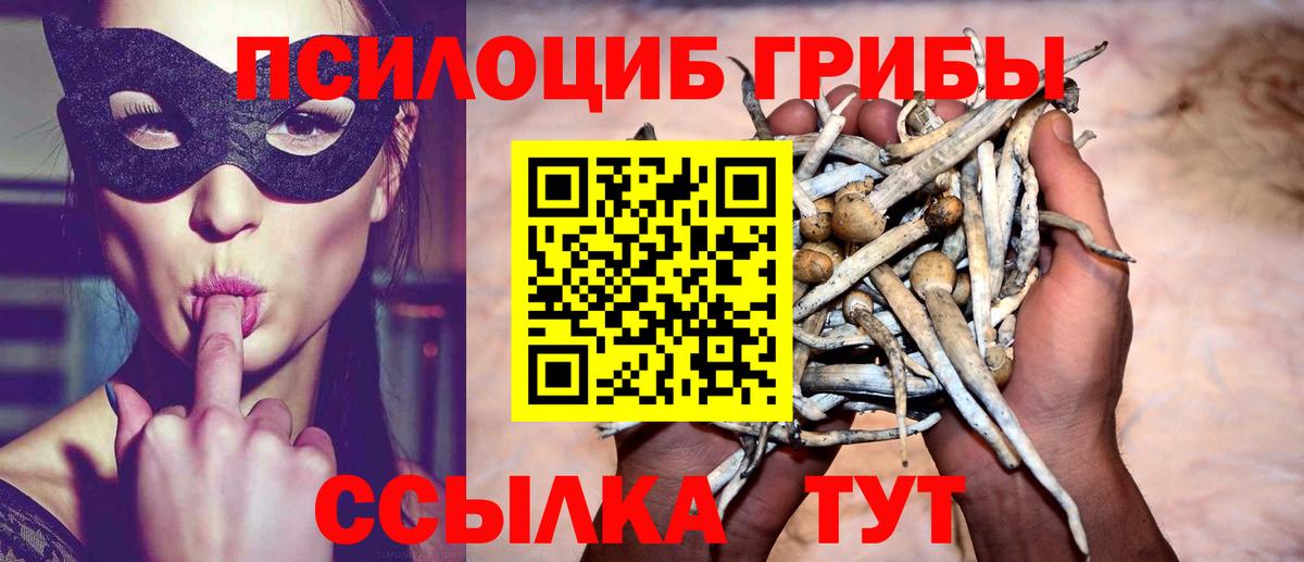 Норильск  Псилоцибиновые грибы прущие грибы  Вход с VPN 