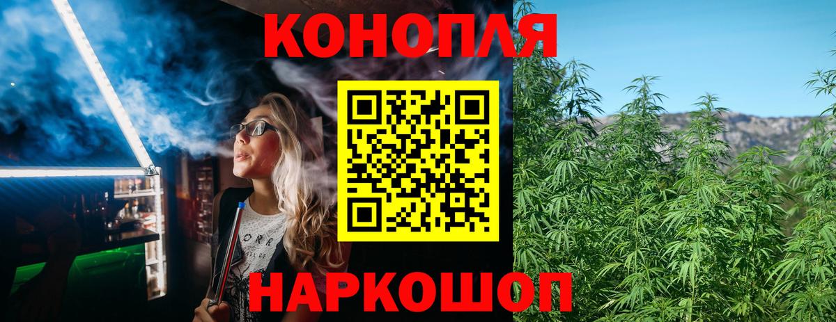 Конопля сатива Норильск